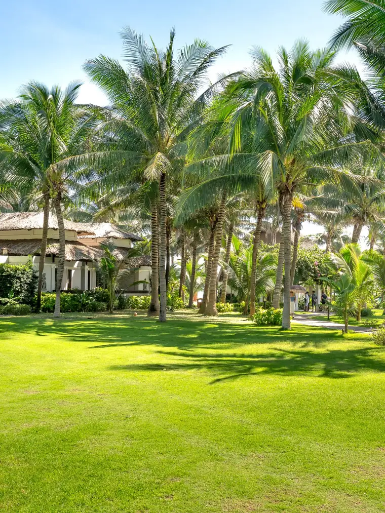 Jardines